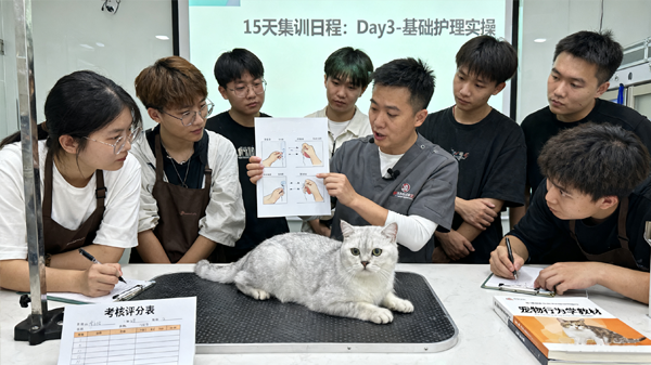 培训+督导,手把手带店